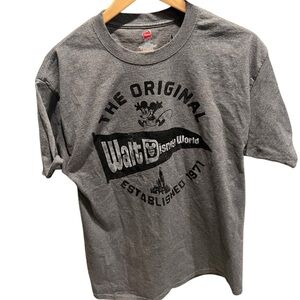 Hanes Walt Disney World Gray crewneck short-sleeved Graphic T-Shirt  Men's LARGE